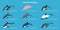 3D Isometric Flat Vector Set of Types Of Dolphins