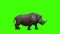 3D Large Rhino slowly walking on the walk cycle view on chroma key