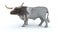3d longhorn bull render