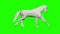 3d low poly white paper horse running, seamless loop, Green Screen Chromakey