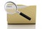 3d Magnifying glass examine client in folder