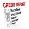 3d man and credit score report