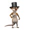 3d Meerkat magician