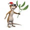 3d Meerkat mistletoe