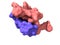 A 3D-model of the bovine insulin chains A and B