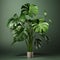 3d Model Of Large Monstera Plant With Distinctive Character Design
