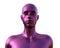 3D model. Male torso of purple chameleon color on a white background.