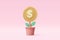 3d money tree plant with coin dollar. Business profit investment, finance education, earning income, business development concept