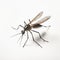 3d Mosquito With Black Legs On White Isolated Background