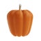 3d orange cute pumpkin rendering icon in cartoon style. Design element for Thanksgiving Day autumn holiday. illustration