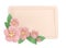 3d pastel pink corner cherry flowers with rectangle frame, botanical spring arrangement, floral clip art, bouquet