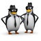 3d Penguin brothers