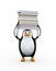 3d penguin carrying pile of books