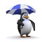 3d Penguin tries out his new umbrella