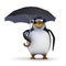 3d Penguin under umbrella