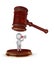 3d person and lawyer\'s hammer