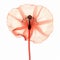 3d Poppy X-ray: Realistic Sculptures And Ephemeral Installations