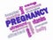 3d Pregnancy Word Cloud Concept