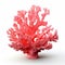 3d Print Of Pink Coral: A Hyperrealistic Depiction Of Light And Environmental Awareness