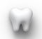 3D pure healthy white molar tooth with shadow on white background close-up. Realistic human tooth with two dental canals