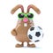 3d Rabbit football star