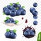 3D realistic blueberry set, lying heaps of berries with leaves, falling bilberries, splash of milk or yogurt, splash of