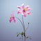 3d Realistic Columbine With Magenta Color In Mario Video Game Art Style