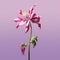 3d Realistic Columbine With Magenta Color In Mario Video Game Art Style