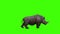 3D realistic Large Rhino Walk Cycle Side enters the left side and out on the right side of the video frame animation