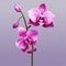 3d Realistic Magenta Orchid In Mario Video Game Art Style