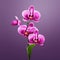 3d Realistic Magenta Orchid In Mario Video Game Art Style
