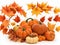 3D realistic Pumpkins surrounded by colorful autumn fall maple leaves ,illustration for Thanksgiving freeting card.