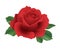 3d realistic red rose single flower detailed vector illustration with green glossy leaves