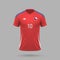 3d realistic soccer jersey Chile national team 2024