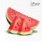 3d realistic transparent isolated vector, half and slices of juicy watermelon