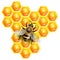 3d realistic vector illustration. Honey Background with Bee Working on a pieces of honeycomb