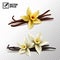 3d realistic vector isolated vanilla sticks and vanilla flowers in yellow and white