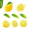 3d realistic vector set of elements whole lemon with leaf , sliced lemon, splash lemon juice, leaves editable handmade mesh