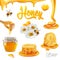 3d realistic vector set with honey, pieces of honeycomb, flying bee, chamomile flowers, propolis, flowing liquid on a
