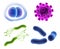 3D realistic viruses, bacteria and germ microbes