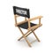 3d Rear view movie directors chair