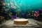 3d render Abstact stage podium background, Round podium on the wave sand in underwater backdrop seaweed, coral, fish and light for