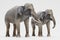 3D Render of Asian Elephants