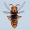 3D Render of Asian Hornet