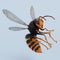 3D Render of Asian Hornet