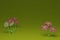 3d render background with growing flowers, plasticine cartoon style