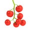 3d render of cherry tomatoes