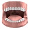 3d render of child teeth