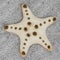 3D Render of Chocolate Chip Starfish