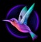 3d render of colibri bird - hummingbird